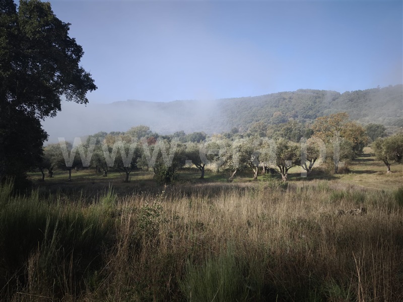 Terreno  Fundão, Telhado - 1446183 - 1