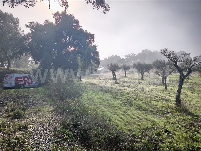 Terreno  Fundão, Telhado - 1446183 - 3