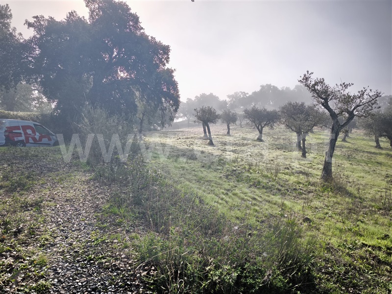 Terreno  Fundão, Telhado - 1446183 - 8