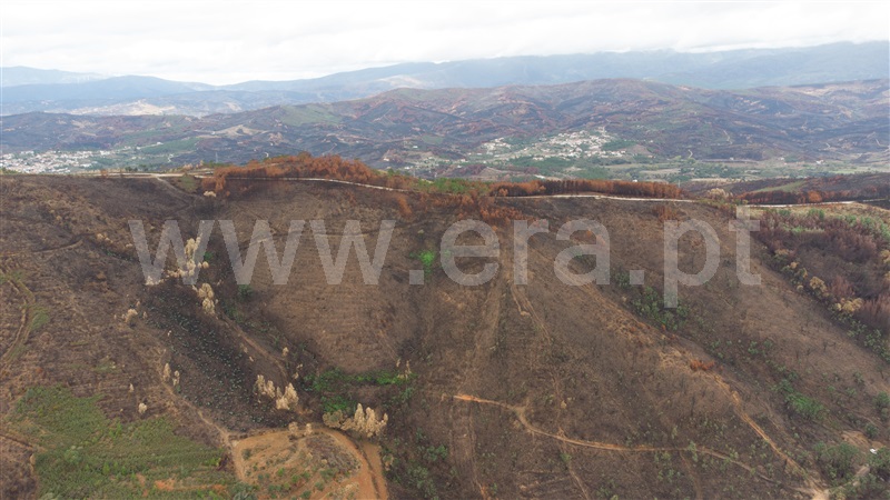Terreno / Fundão, Telhado