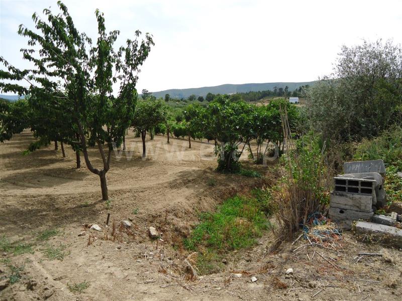 Terreno / Fundão, Telhado