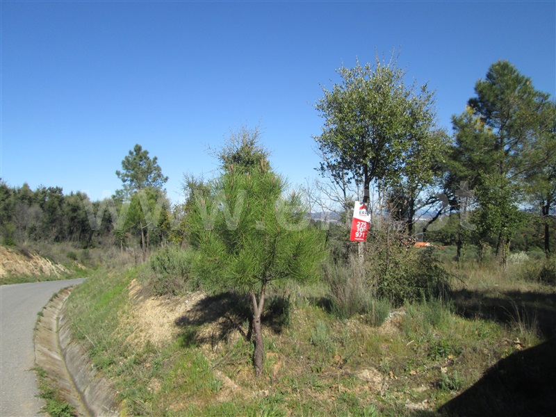 Terreno / Fundão, Telhado