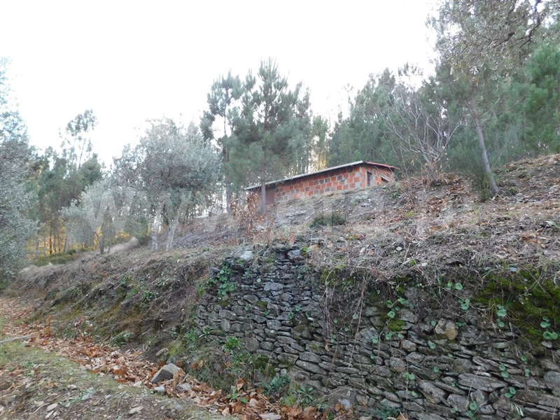 Terreno  com Rústico Fundão, Vale DÚrso - 1216940 - 3