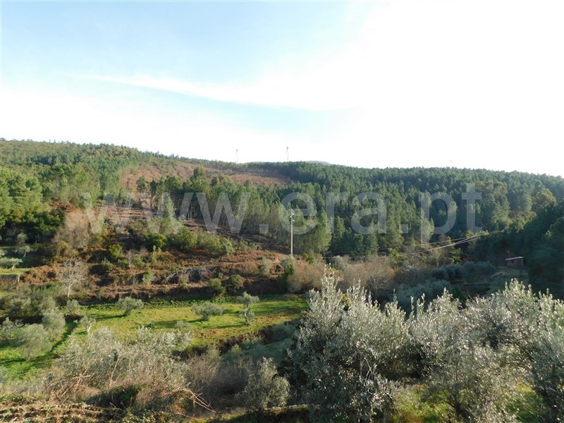 Terreno / Fundão, Vale DÚrso