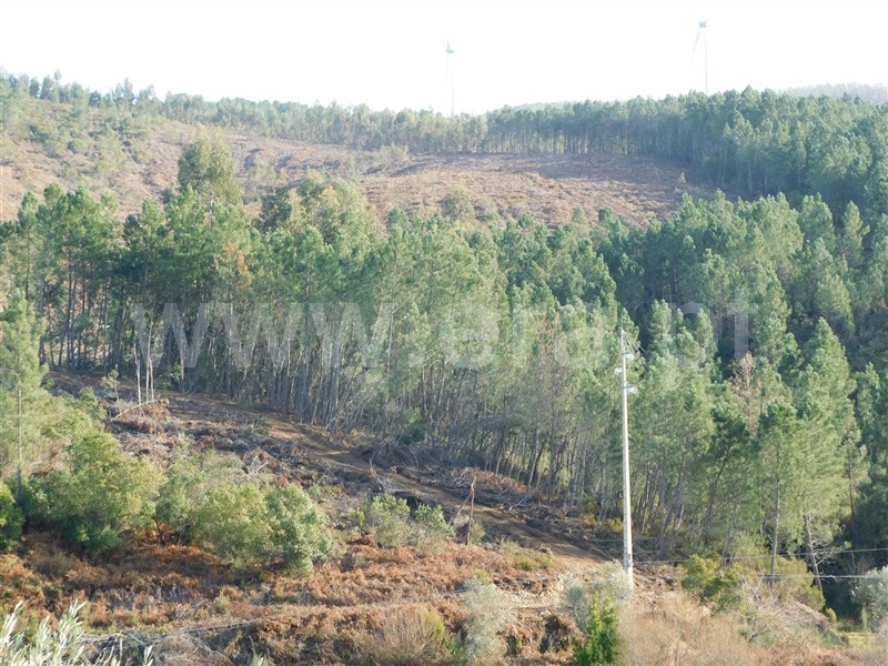 Terreno  com Rústico Fundão, Vale DÚrso - 1216940 - 6