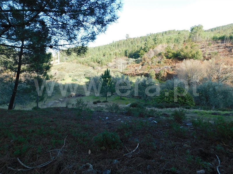 Terreno  com Rústico Fundão, Vale DÚrso - 1216940 - 15