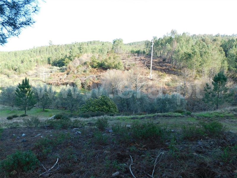 Terreno  com Rústico Fundão, Vale DÚrso - 1216940 - 16