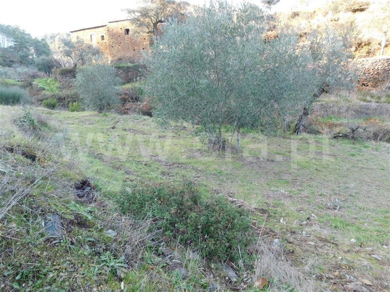 Terreno  com Rústico Fundão, Vale DÚrso - 1216940 - 18