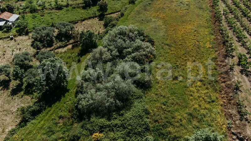 Terreno  Fundão, Vale Prazeres - 1378062 - 8