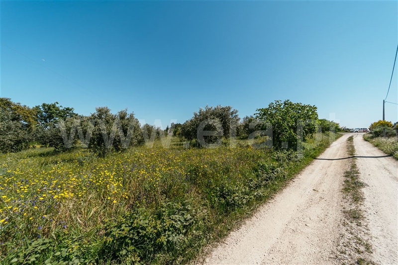 Terreno  Fundão, Vale Prazeres - 1378062 - 15