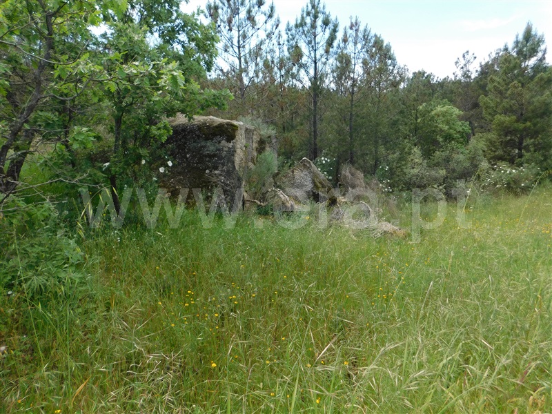 Terreno  Fundão, Vale de Prazeres e Mata da Rainha - 1399755 - 2