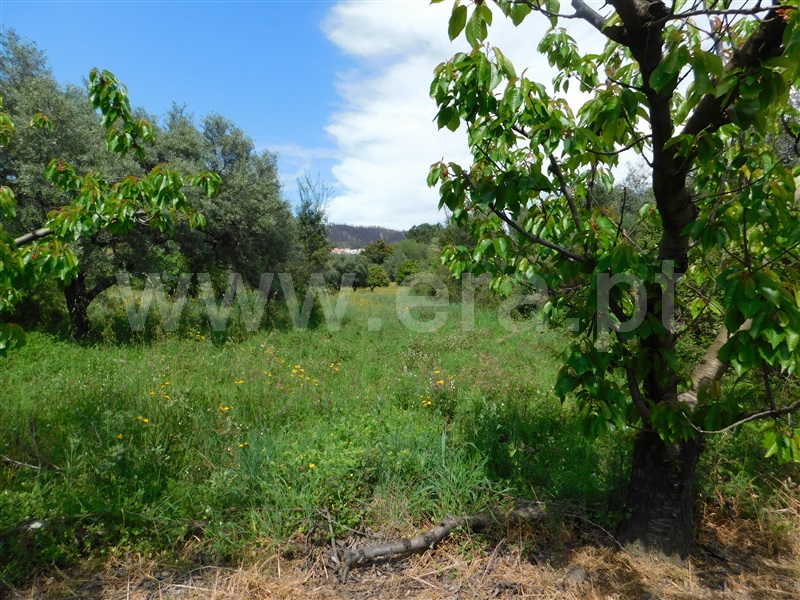 Terreno  Fundão, Vale de Prazeres e Mata da Rainha - 1399755 - 7