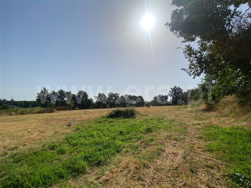 Terreno / Fundão, Valverde