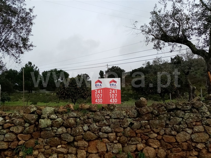 Terreno / Gavião, Belver