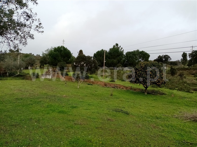 Terreno  Gavião, Belver - 1295510 - 2
