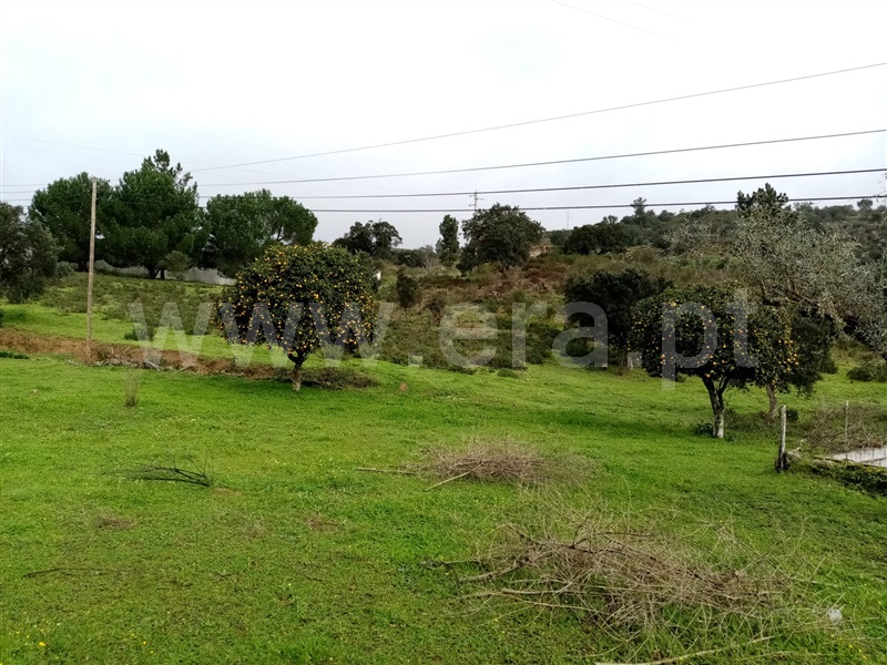 Terreno  Gavião, Belver - 1295510 - 3