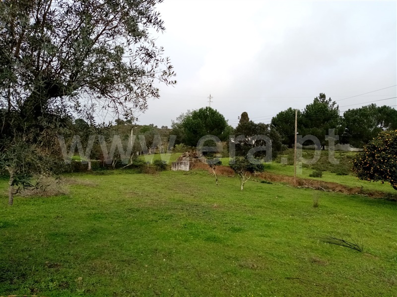 Terreno  Gavião, Belver - 1295510 - 4