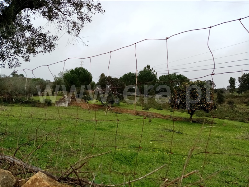 Terreno  Gavião, Belver - 1295510 - 5