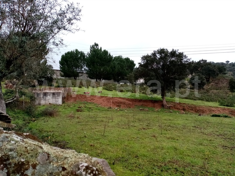Terreno  Gavião, Belver - 1295510 - 6