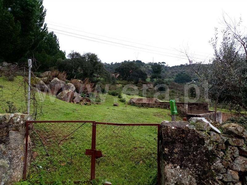 Terreno  Gavião, Belver - 1295510 - 9