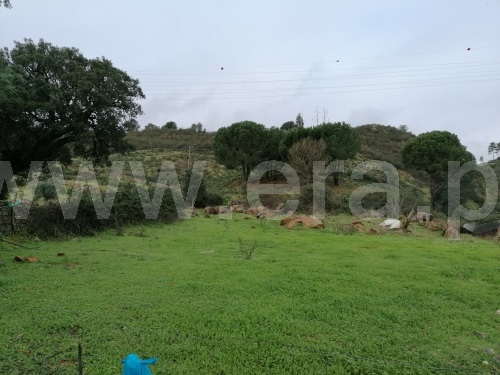 Terreno  Gavião, Belver - 1295510 - 13