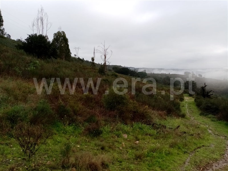 Terreno  Gavião, Belver - 1295512 - 2