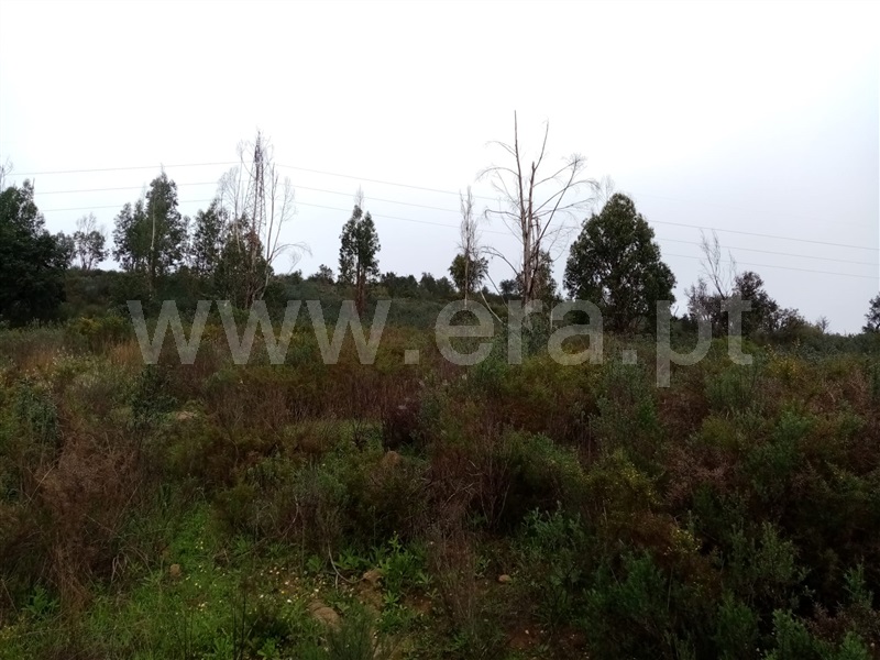 Terreno  Gavião, Belver - 1295512 - 4
