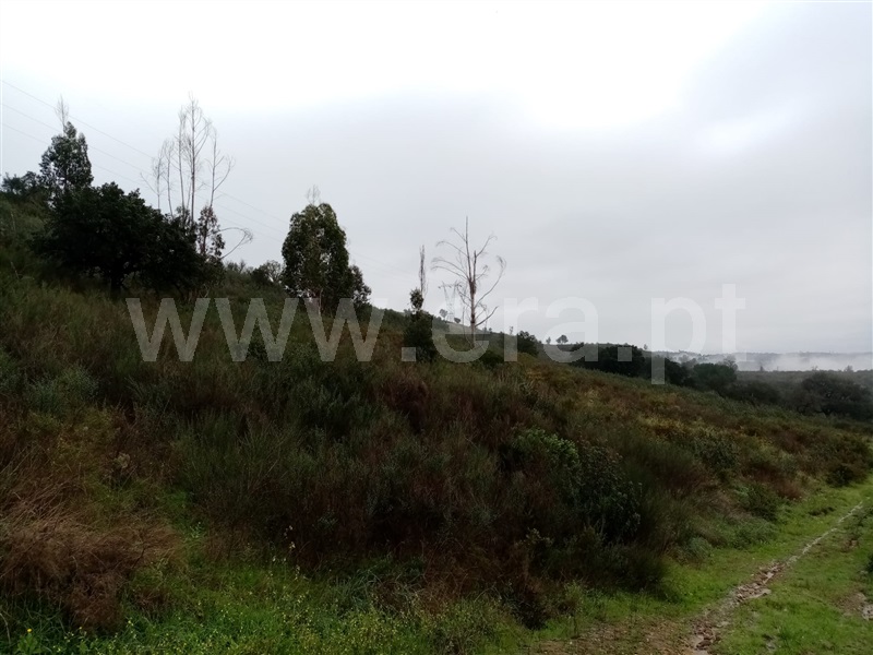 Terreno  Gavião, Belver - 1295512 - 5