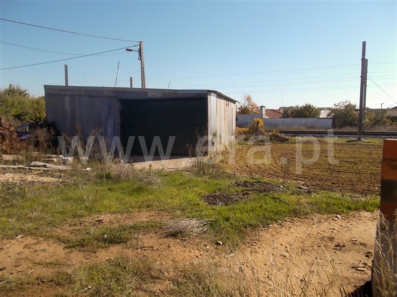 Terreno  Golegã, Mato Miranda - 871140 - 2