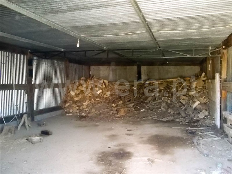 Terreno  Golegã, Mato Miranda - 871140 - 4