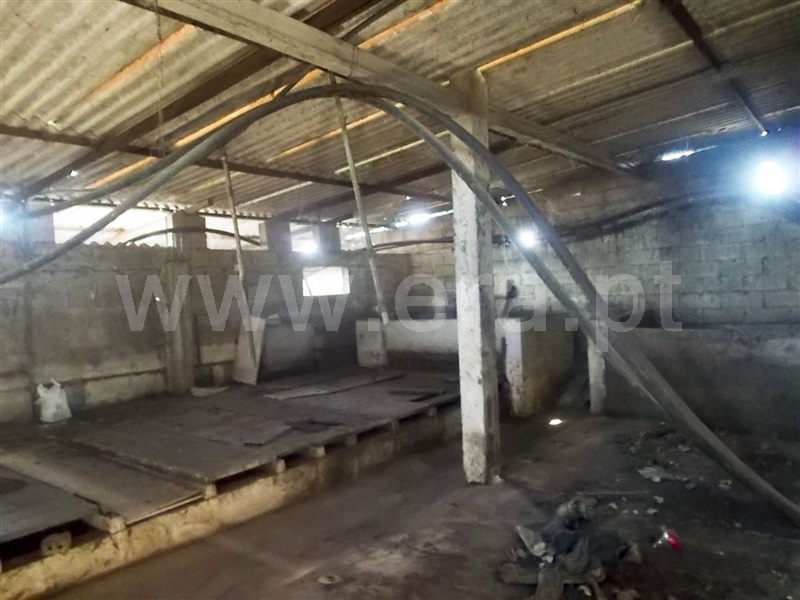 Terreno  Golegã, Mato Miranda - 871140 - 5