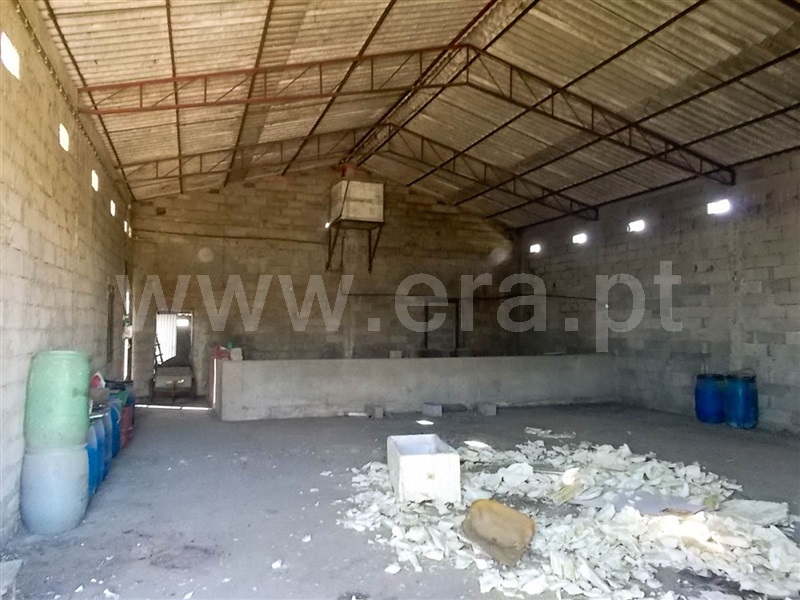 Terreno  Golegã, Mato Miranda - 871140 - 6