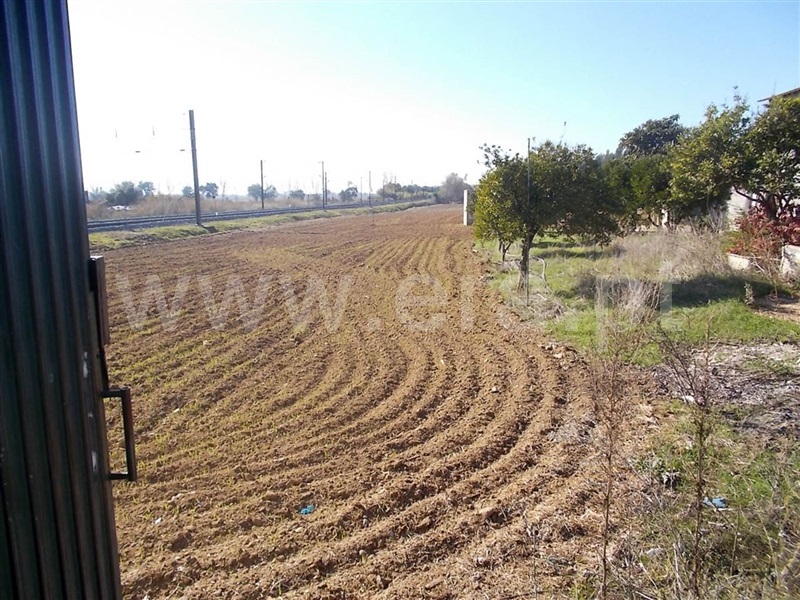 Terreno  Golegã, Mato Miranda - 871140 - 8