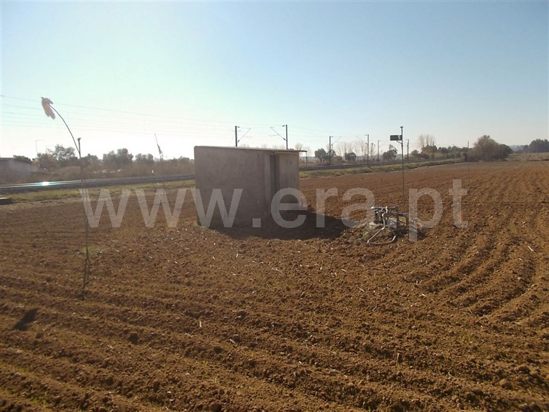 Terreno  Golegã, Mato Miranda - 871140 - 7