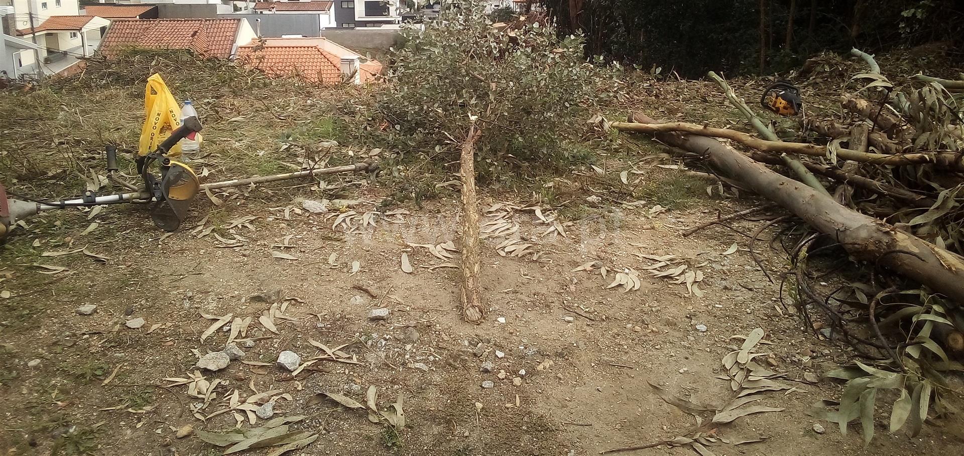 Terreno em Gondomar
