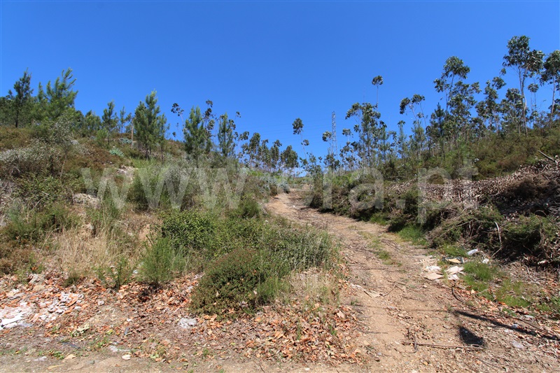 Terreno  Gondomar, Foz do Sousa - 1018152 - 4