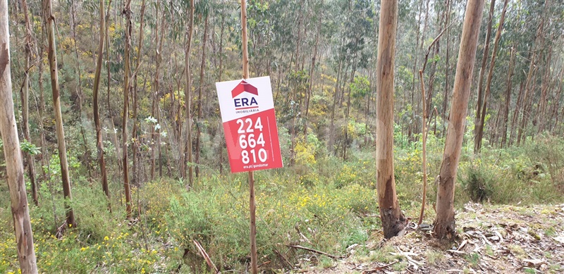 Terreno  Gondomar, Foz do Sousa - 1162803 - 6