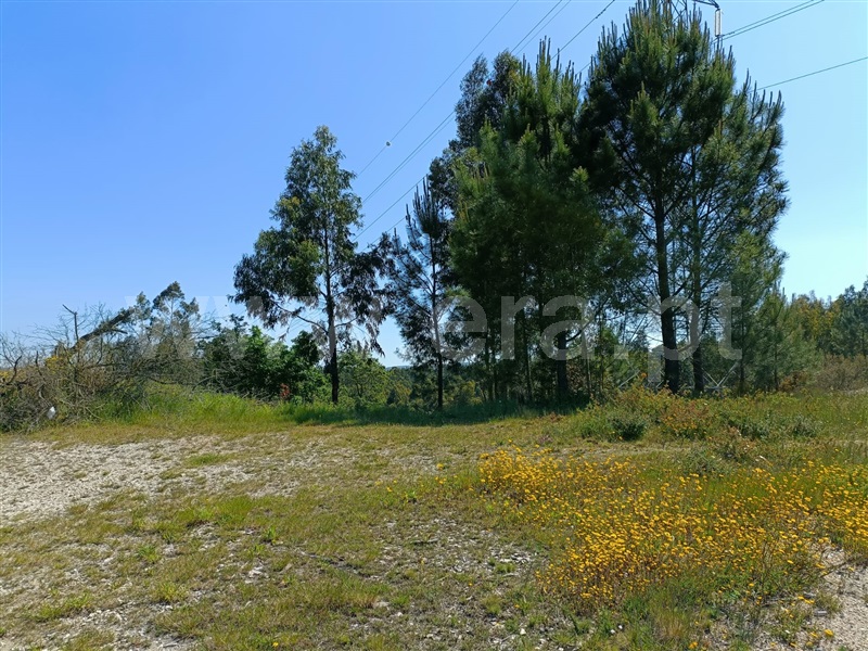 Terreno  Gondomar, Foz do Sousa - 1246632 - 4