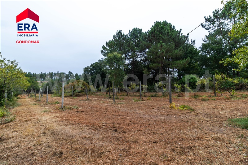 Terreno / Gondomar, Foz do Sousa