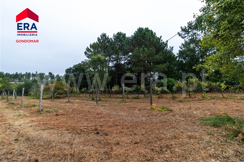 Terreno  Gondomar, Foz do Sousa - 1343307 - 2
