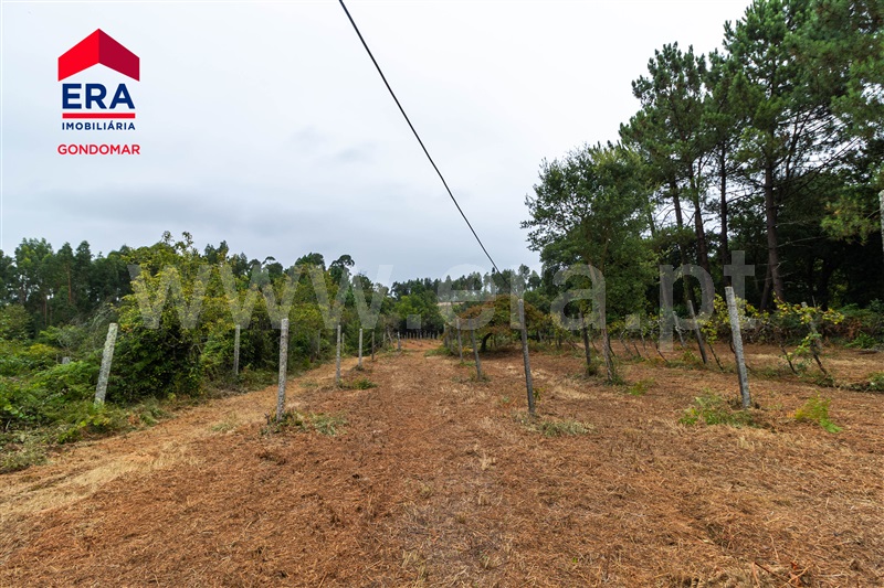 Terreno  Gondomar, Foz do Sousa - 1343307 - 3