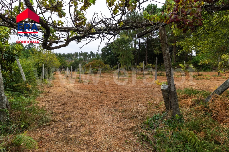Terreno  Gondomar, Foz do Sousa - 1343307 - 5