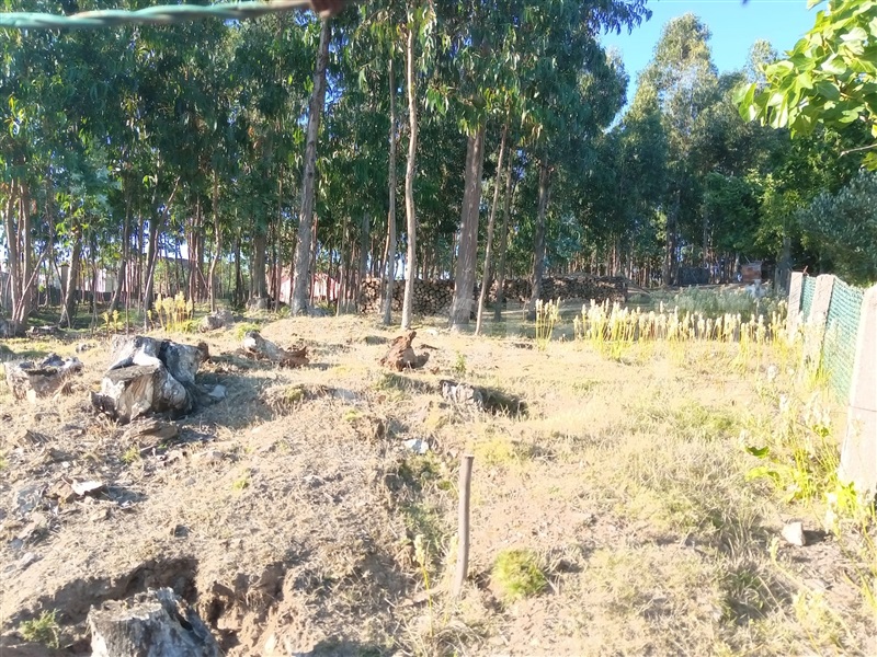 Terreno  Gondomar, Lomba - 1181121 - 5