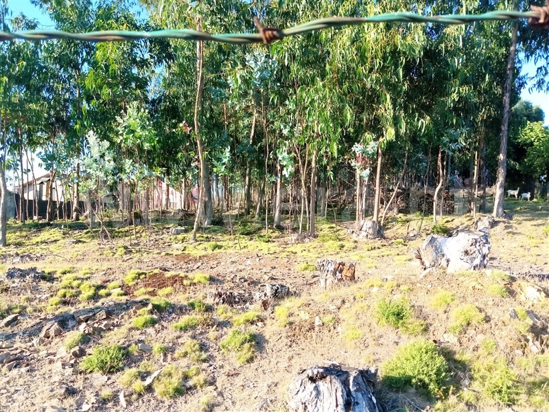 Terreno  Gondomar, Lomba - 1181121 - 6