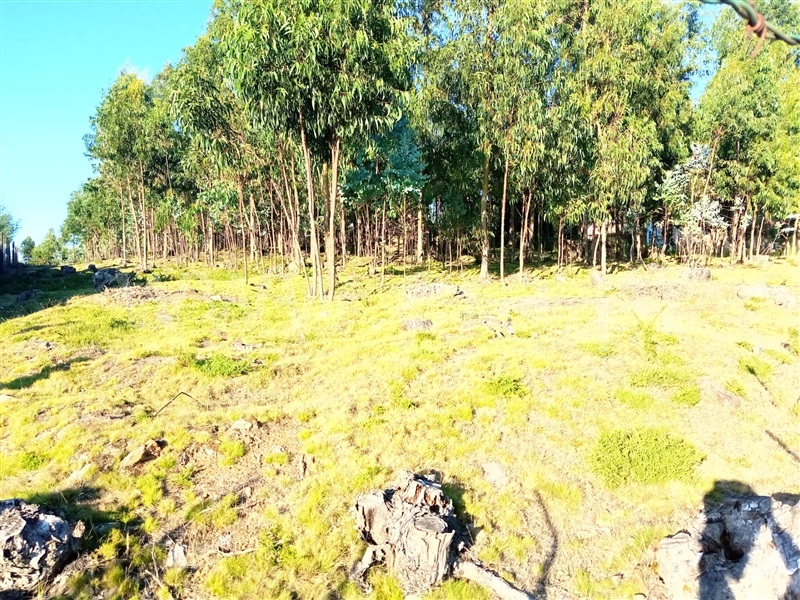 Terreno  Gondomar, Lomba - 1181121 - 8