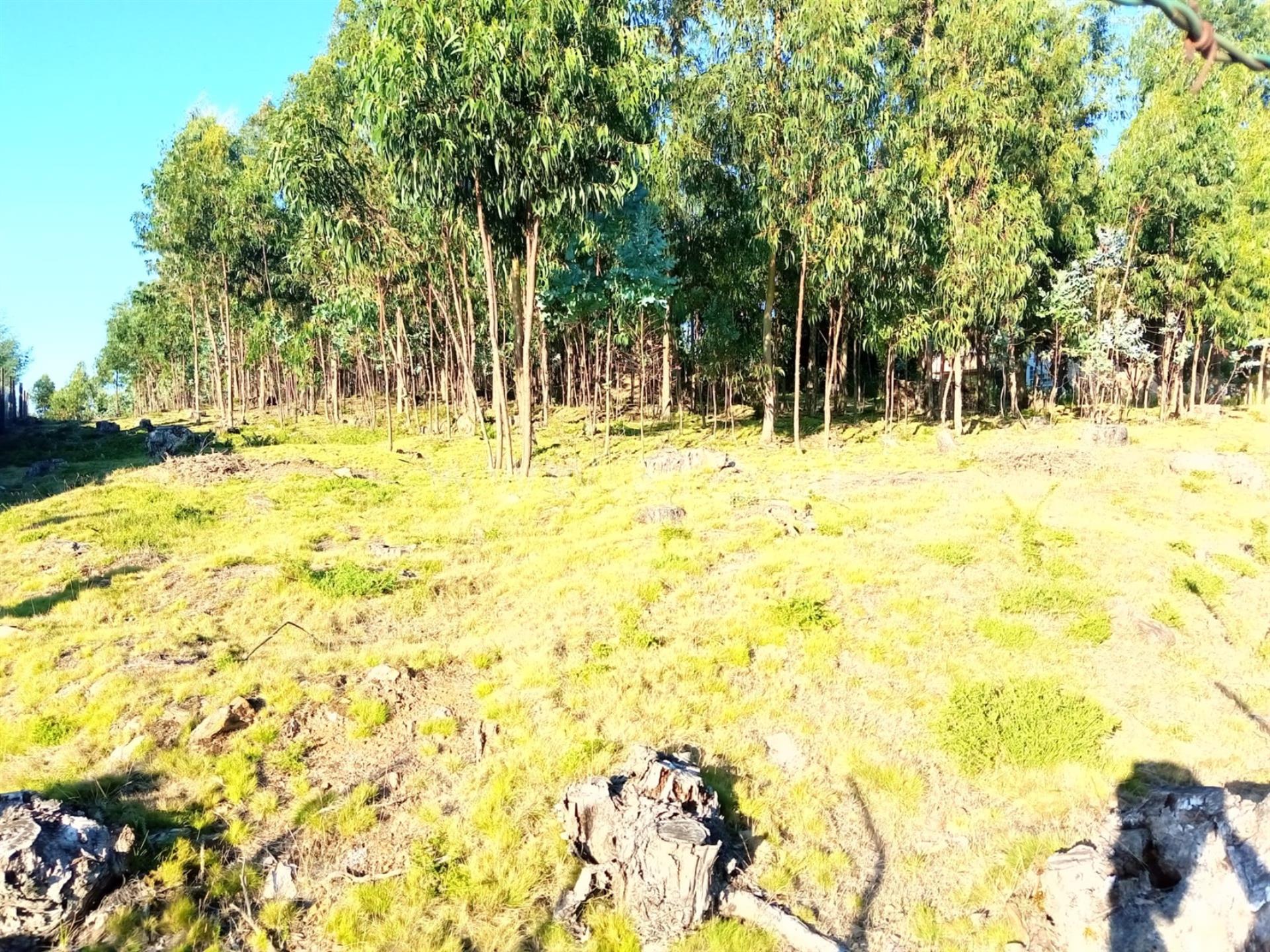 Land for sale in Gondomar, Portugal — €67,500
