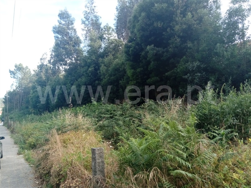 Terreno  Gondomar, Medas - 1260017 - 3
