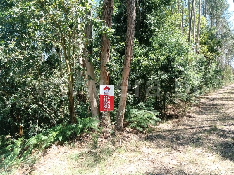 Terreno / Gondomar, Medas