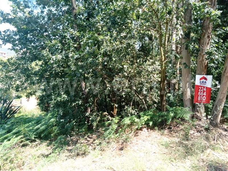 Terreno  Gondomar, Melres e Medas - 1260018 - 2