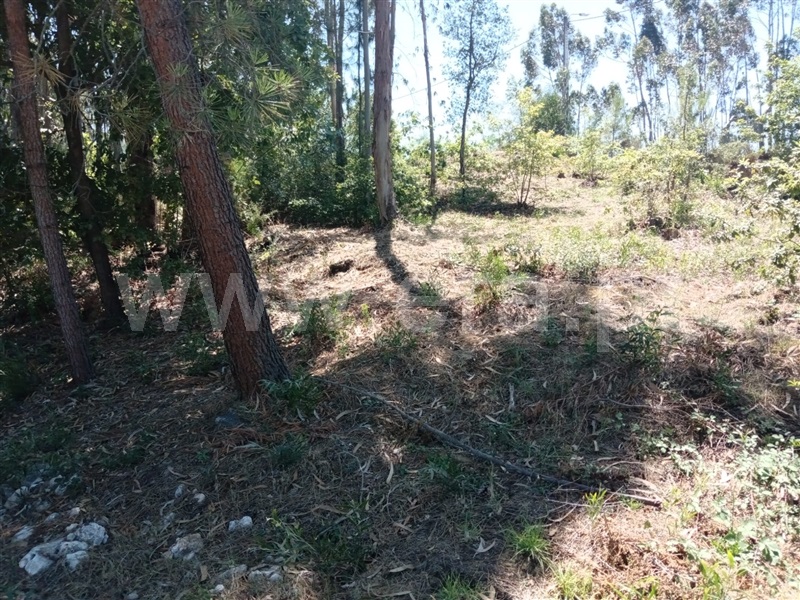 Terreno  Gondomar, Melres e Medas - 1260018 - 4